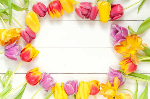 Jual Poster Tulips Wood planks WPS 002